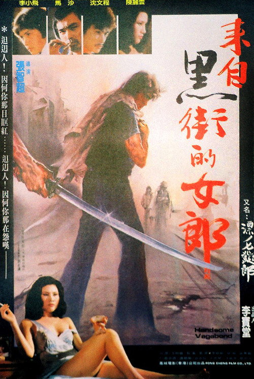 Movie poster for Handsome Vagabond (1982)