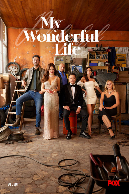 My Wonderful Life poster