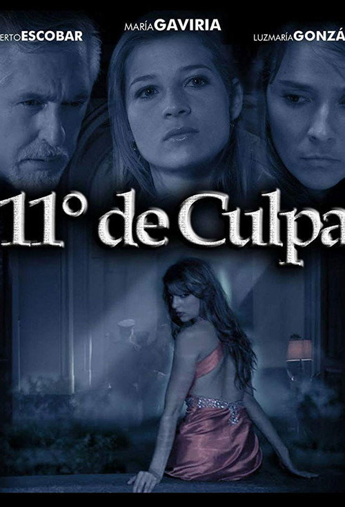 Movie poster for 11 Grados de culpa (2014)