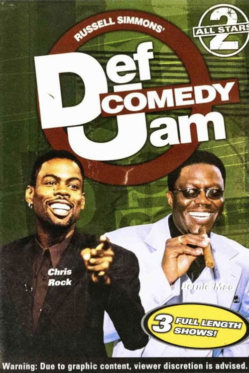 Movie poster for Def Comedy Jam: All Stars 2 (2001)