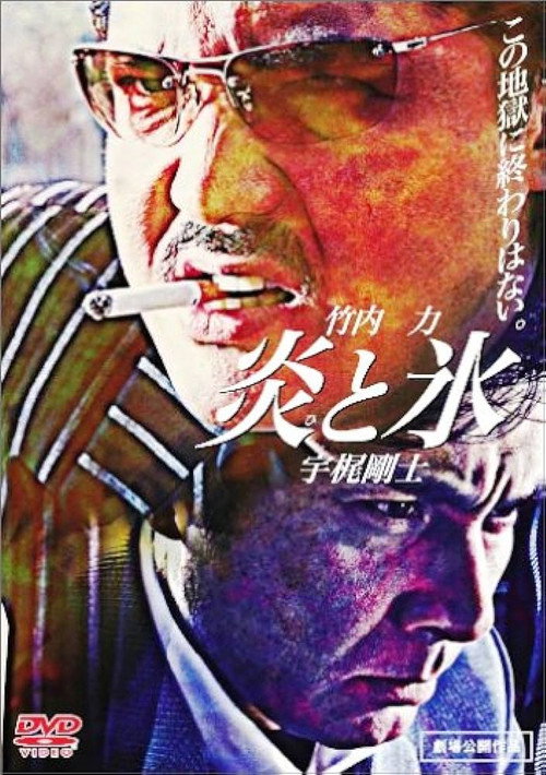 Movie poster for Fire and Ice (2004)