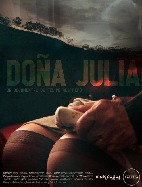 Movie poster for Doña Julia (2014)