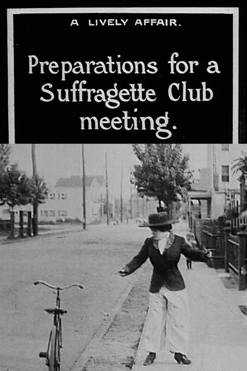Movie poster for A Lively Affair (1912)