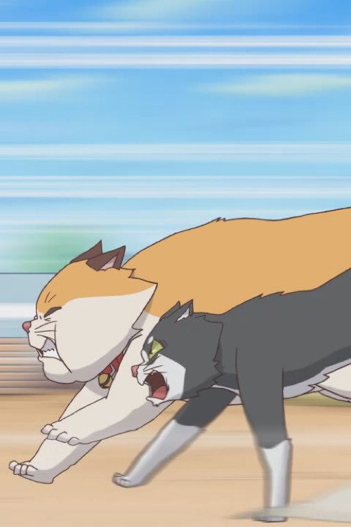 Movie poster for Cats Run (2012)