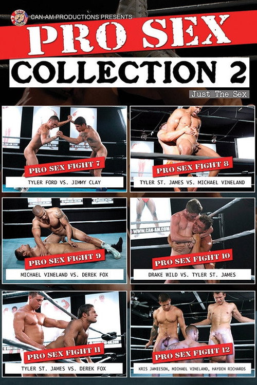 Movie poster for PRO SEX COLLECTION 2 (2020)