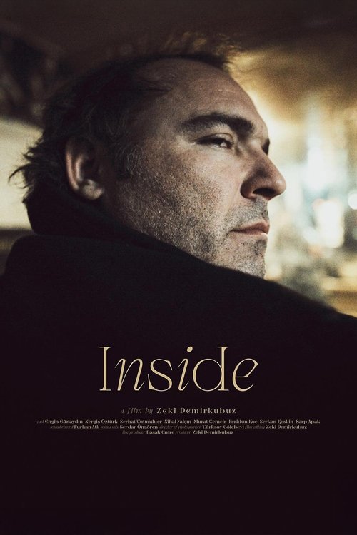 Movie poster for Inside (2012)