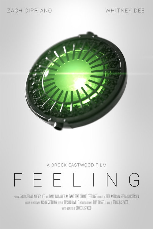 Movie poster for Feeling (2026)