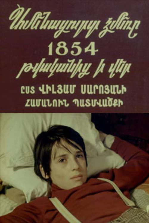 Movie poster for The Coldest Winter Since 1854 (1988)