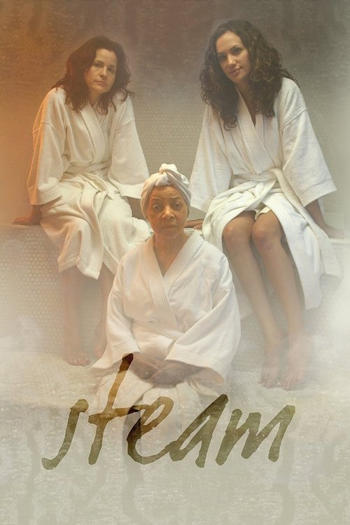 Movie poster for Steam (2007)