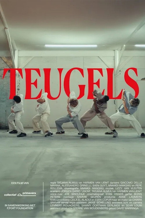 Movie poster for Teugels (2025)