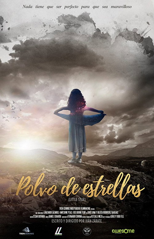 Movie poster for Little Star (2017)