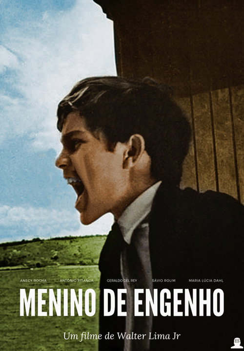 Movie poster for Plantation Boy (1966)