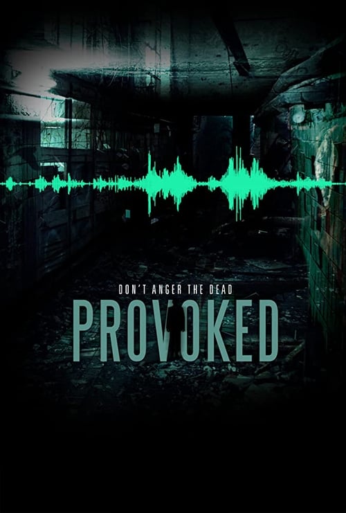 Movie poster for Provoked (2016)