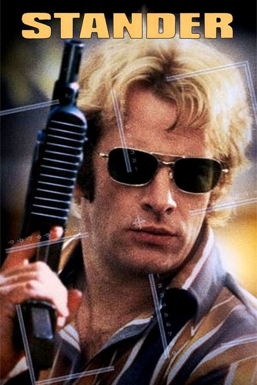 Movie poster for Stander (2003)