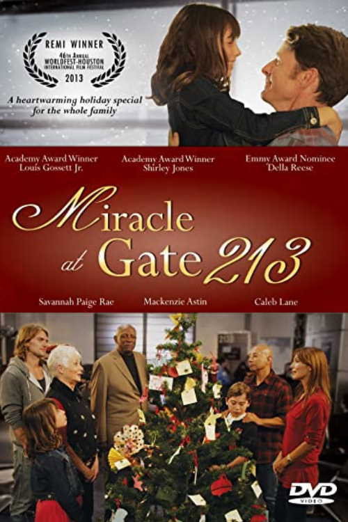 Movie poster for Miracle at Gate 213 (2013)