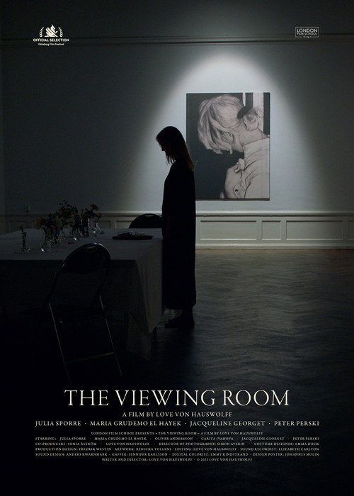 Movie poster for The Viewing Room (2022)