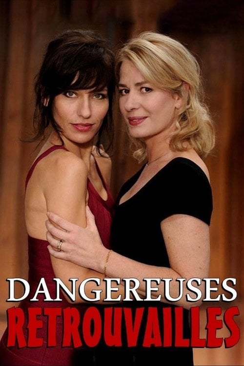 Movie poster for Dangereuses retrouvailles (2013)