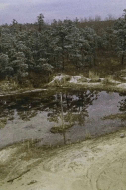 Movie poster for Pine Barrens (1975)