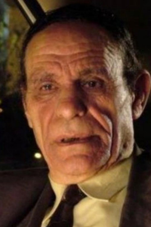 Photo of Metwaly Elwan, Acting