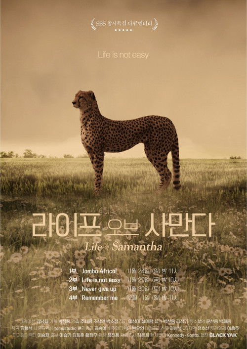Life of Samantha poster