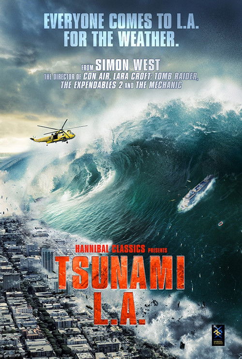 Movie poster for Tsunami LA
