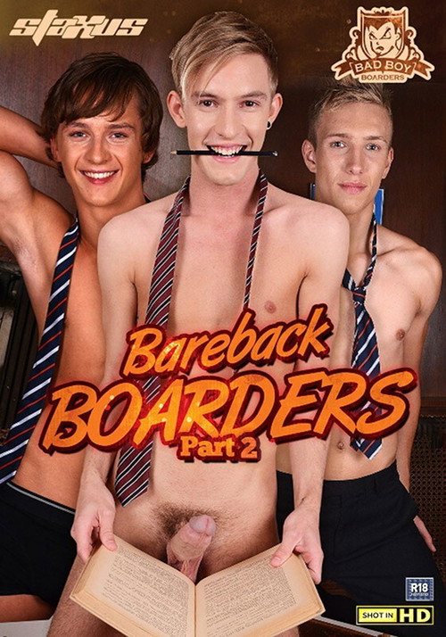 Movie poster for Bareback Boarders 2 (2013)