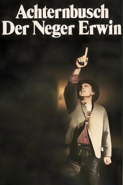 Movie poster for Der Neger Erwin (1981)