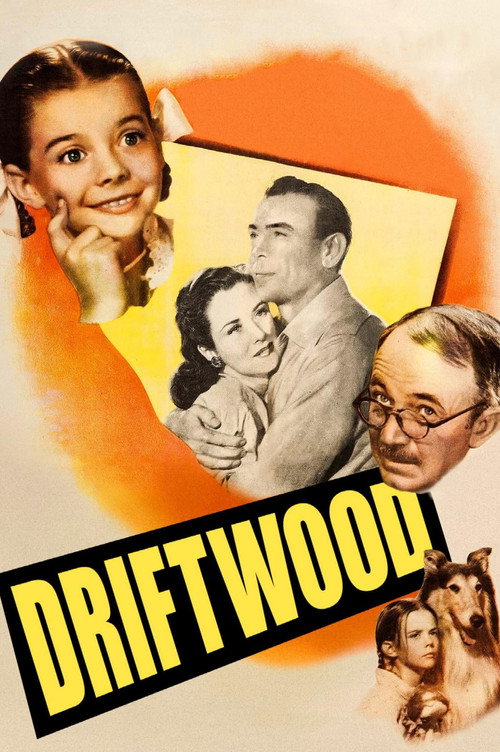 Movie poster for Driftwood (1947)