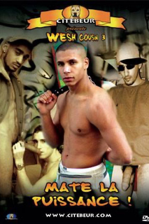 Movie poster for Wesh Cousin 3: Matte la puissance! (2004)