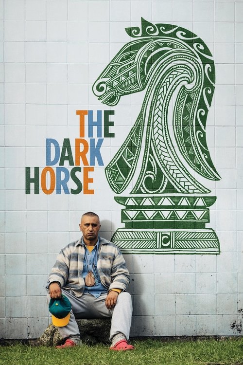 Movie poster for The Dark Horse (2014)