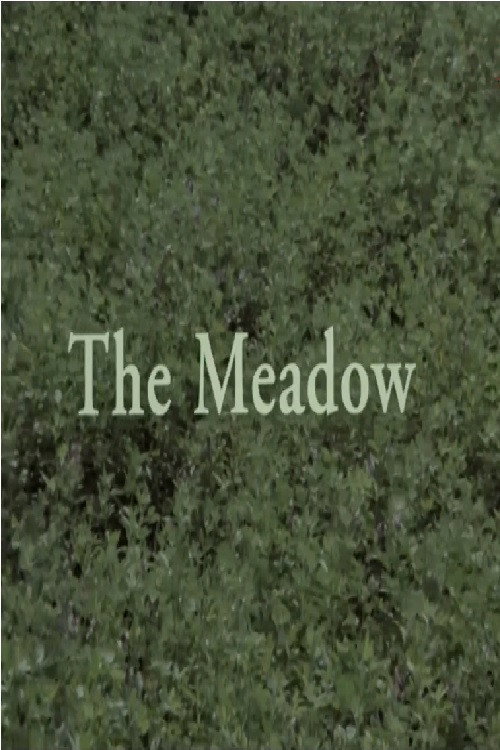 Movie poster for The Meadow (1998)