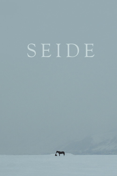 Movie poster for Seide (2015)