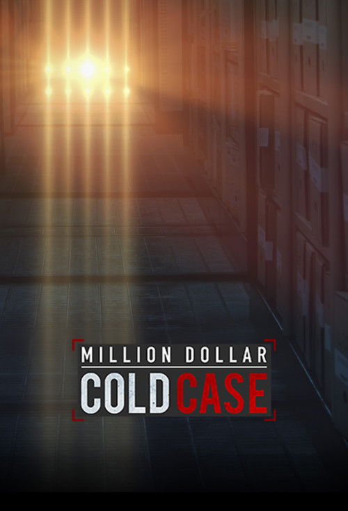 Million Dollar Cold Case poster