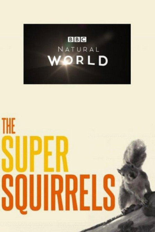 Movie poster for The Super Squirrels (2018)