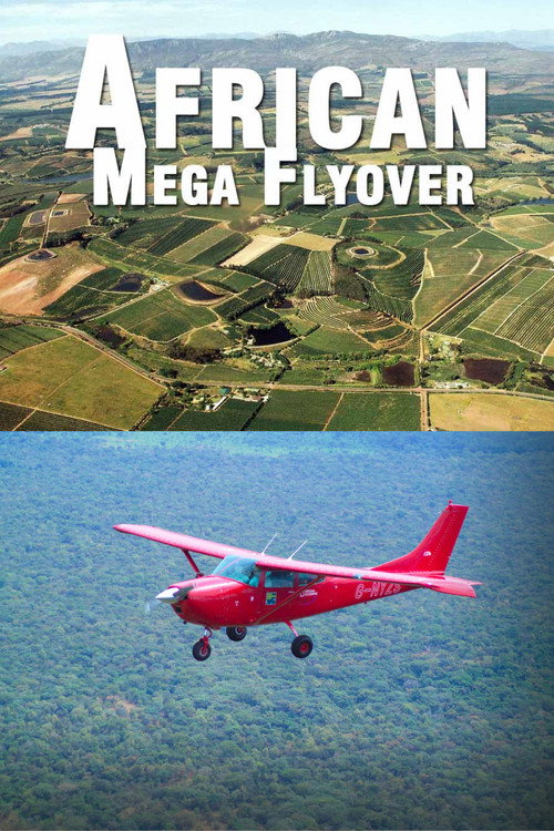 Movie poster for African Megaflyover (2005)