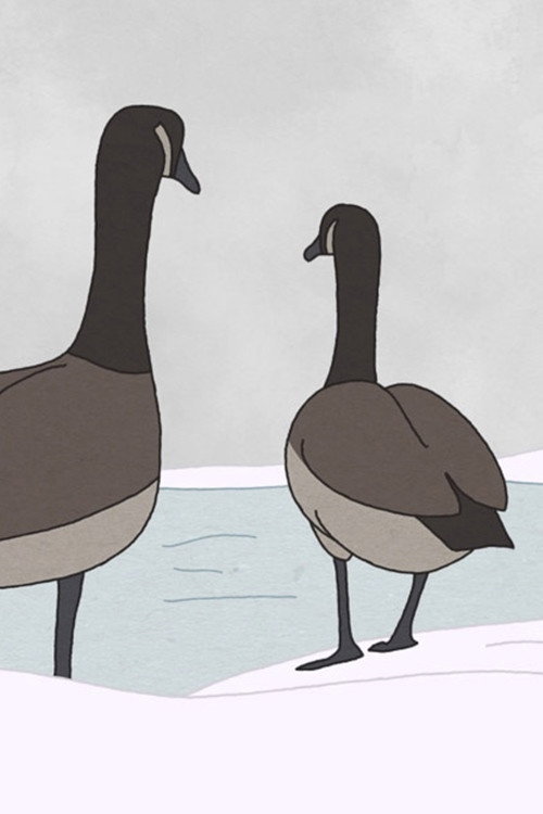 Movie poster for Hudson Geese (2020)