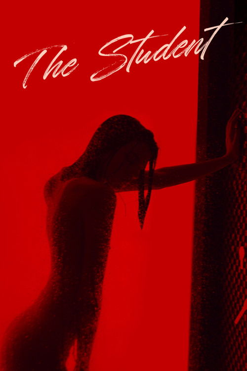 Movie poster for Gerda (2021)