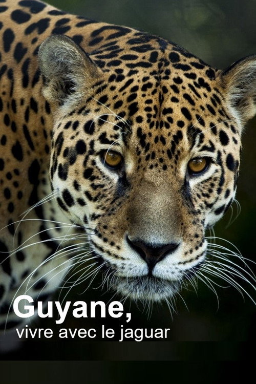 Movie poster for Guyane, vivre avec le jaguar (2024)