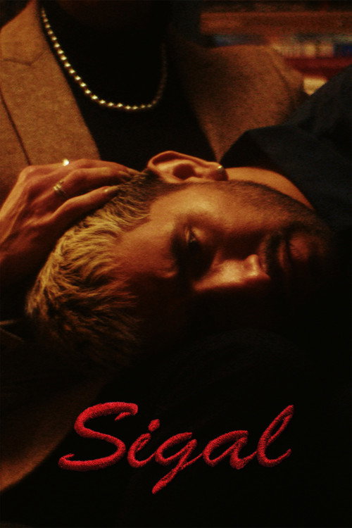 Movie poster for Sigal