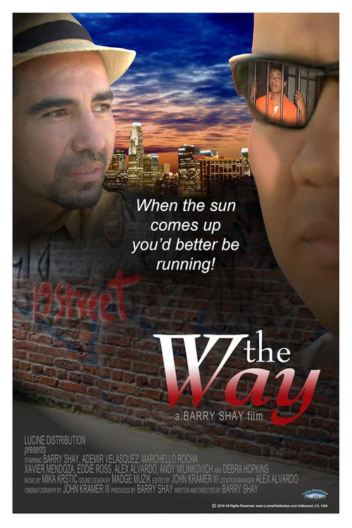 Movie poster for The Way (2010)