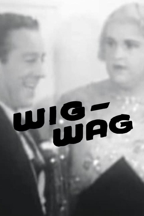 Movie poster for Wig-Wag (1935)
