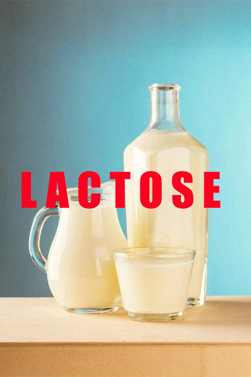 Movie poster for Lactose (2025)