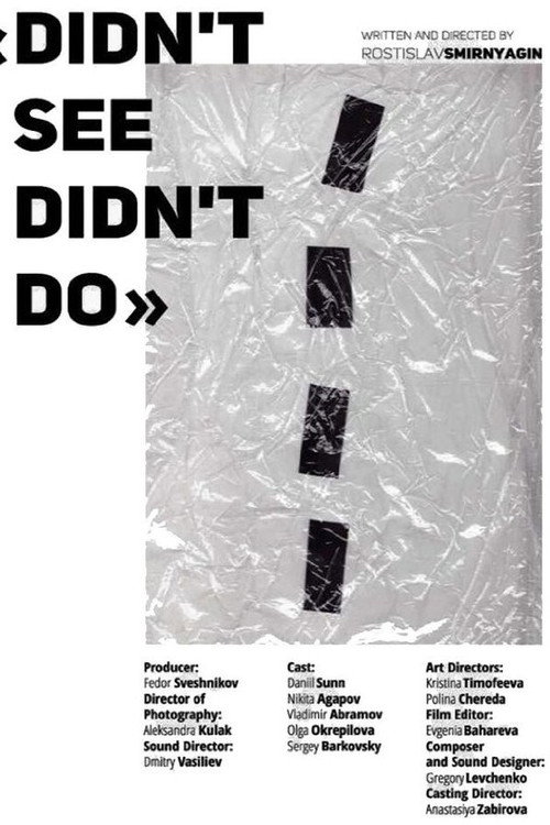 Movie poster for Didn't See Didn't Do (2015)