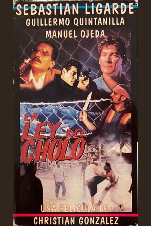Movie poster for La ley del cholo (1995)