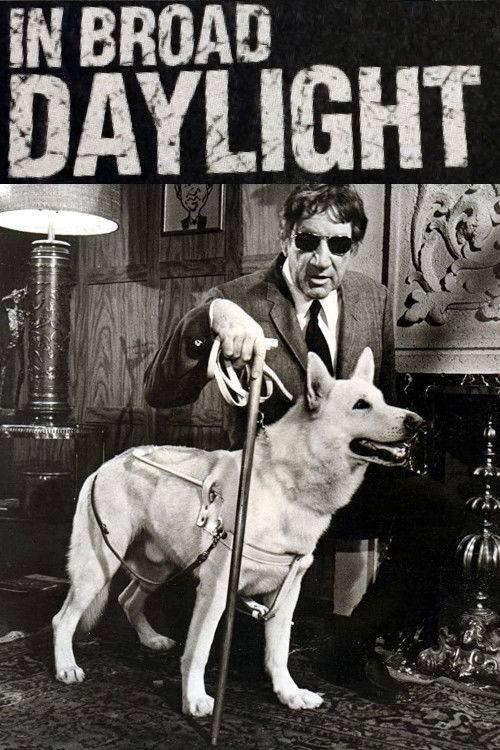 Movie poster for In Broad Daylight (1971)