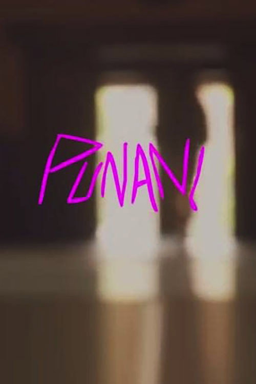 Movie poster for Punani (2015)