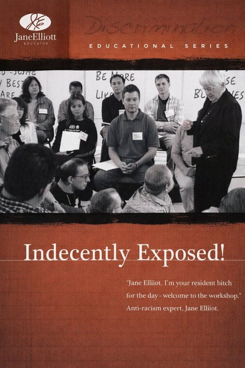 Movie poster for Indecently Exposed! (2004)