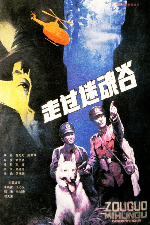 Movie poster for Go Through A Magic Valley (1987)