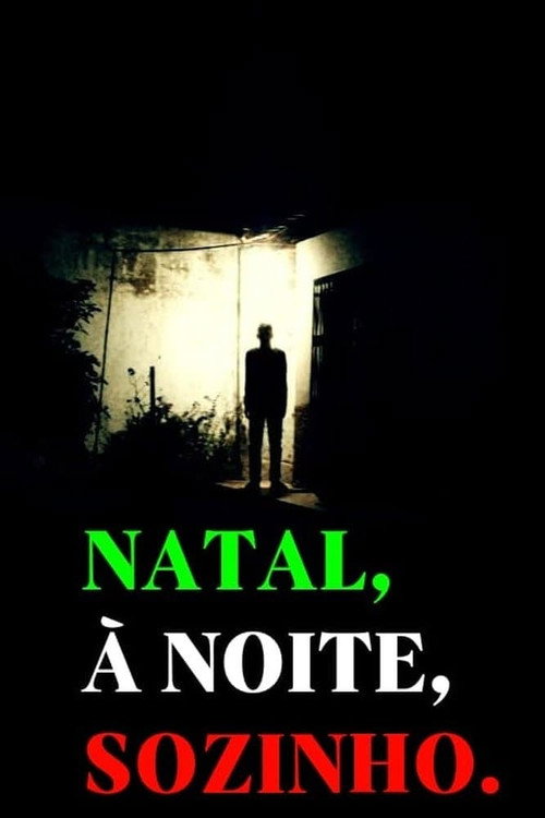 Movie poster for Natal, à Noite, Sozinho (2024)