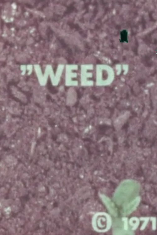 Movie poster for WEED (1971)
